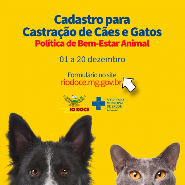 Prefeitura lança cadastro para programa de castração de cães e gatos